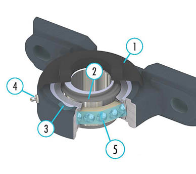 BAC bearing features